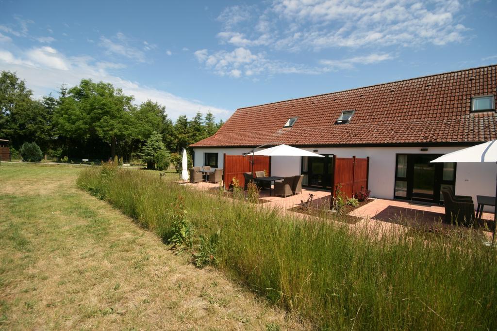 Apartment Sandra Lutow